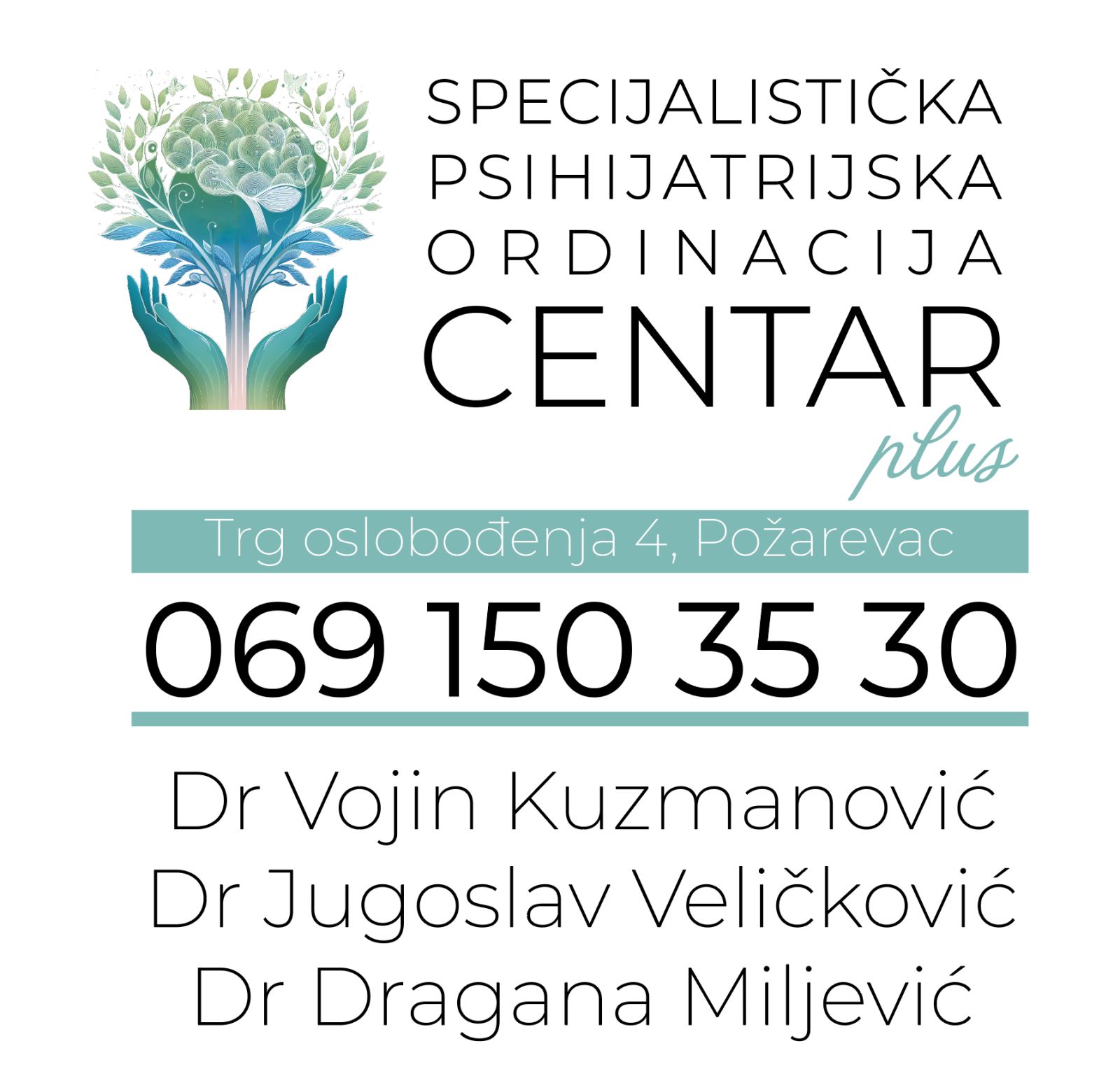 Centar Plus 300x250